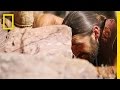 Survival Tactics in the Arizona Desert