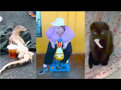 UNUSUAL MEMES COMPILATION V16