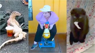 UNUSUAL MEMES COMPILATION V16