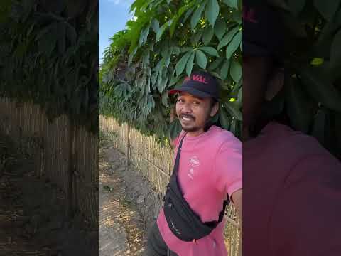 Bí quyết giúp nông dân tiết kiệm hàng triệu đô!