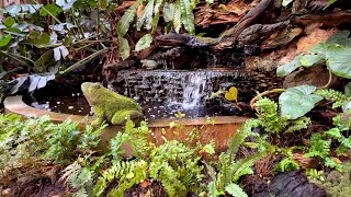 Waterfall Sounds for Relaxation & Meditation | Soothing Nature Sounds (1 Hour)