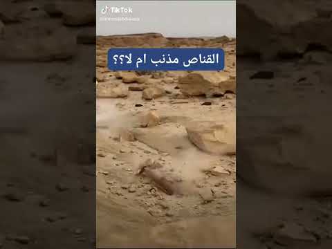 قناص بارع يقنص افعى الكبرى ولكن هل هو اثم لان في صحراء وداخل حجره