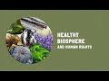 Ecosystems and Biodiversity Challenges