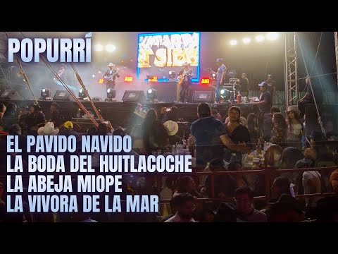 El Pavido Navido / La Boda Del Huitlacoche / La Abeja Miope / La Vivora De La Mar, en vivo.