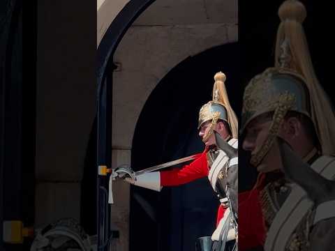 ROYAL GUARD PUSHES BUZZER FOR HELP 🚨🐎💂 | Horse Guards, Royal guard, Kings Guard, Horse, London, 2025