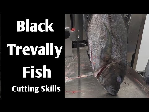 Fish Cutting | Black Trevally Fish