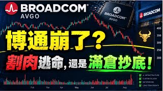 AI定制芯片之王迎来黄金坑，还是更大暴跌的开始？历史罕见信号出现！