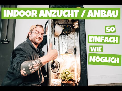 Anzucht und Anbau im LOW Budget GROW KOMPLETTSET | Wir testen für euch so einfach wie möglich 🌱