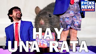 F*cksNews: Hay Una Rata