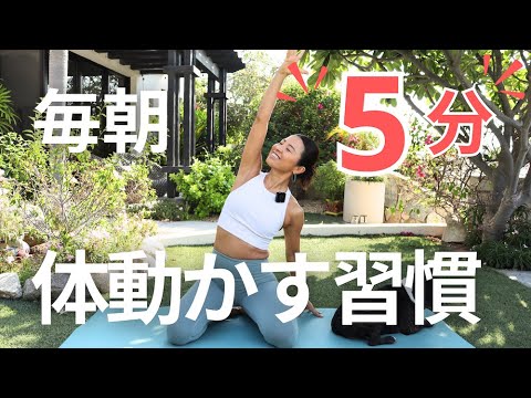 【朝の習慣】5分でできるリフレッシュヨガで体目覚める！ | Wellness To Go