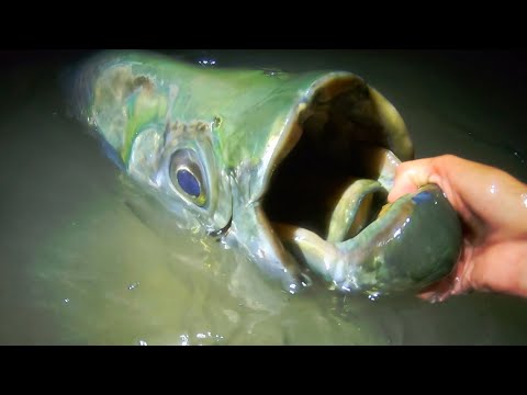 I can’t believe we FINALLY CAUGHT IT!! (FISH OF A LIFETIME)