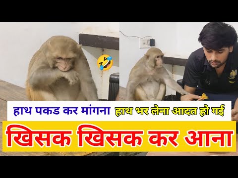 रानी कैसे खिसक खिसक कर बैठती है 🤣 ।। Rani kaise mangti hai ।। Rani ki life time habbit