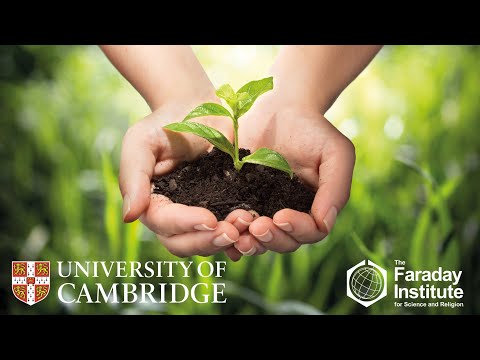Human Responsibility for the Environment in a Fallen World