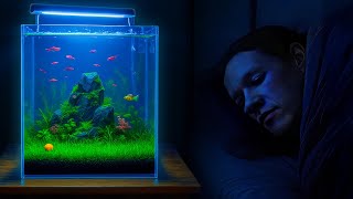 Building an Aquarium That Helps Me Sleep Better
