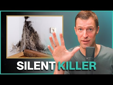 Mold Toxicity: Symptoms, Testing, and Full Detox Protocol