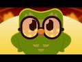 Understanding the Video Tutorial