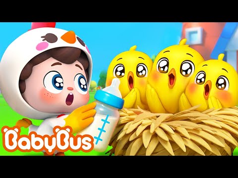 Một ngày làm Mẹ Gà của Neo | Chăm sóc chú gà con | Nhạc thiếu nhi vui nhộn | Yes! Neo | BabyBus