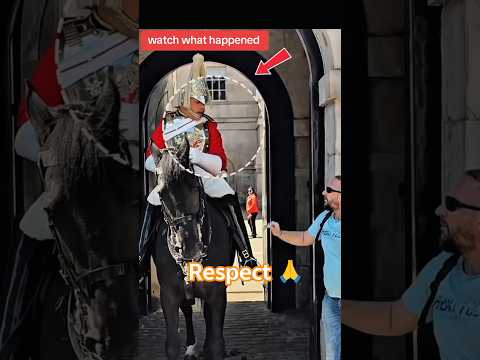 please respect kingsguard 🥺 #horseguardsparade #peterellis #kingsguard #tourist