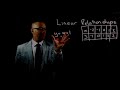 Understanding Linear Relationships in Algebra