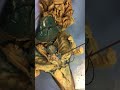 Human Anatomy: Veins and Arteries