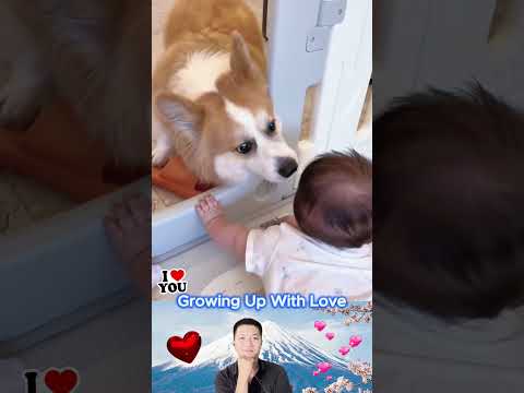 The Little Angel and the Loyal Friend 🥰❤️ #14 #dog #foryou #family #puppies #love #baby #bestfriend