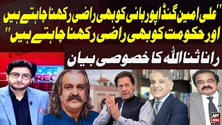 Ali Amin Gandapur Wants to Satisfy Both Imran Khan and Govt Says Rana Sanaullah