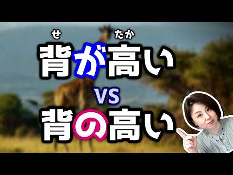 解鎖：「背の高い」VS.「背が高い」有什麼不同？【台灣學生最常搞錯的日語】 【#168】助詞