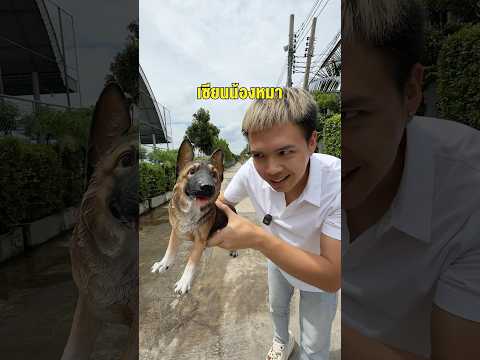 เซียนน้องหมา #เฮียเกมพี่ซ้อการ์ด #ซุงศตาวิน #ซ้อก้าด