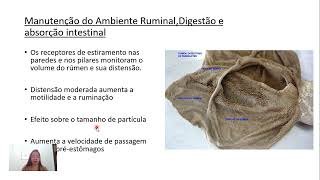 Aula 1 Manutenção do ambiente ruminal