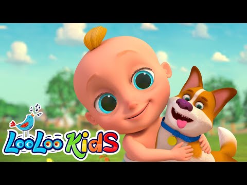 🐶 Bingo - Fun Songs For Preschool Kids! - Nursery Rhymes