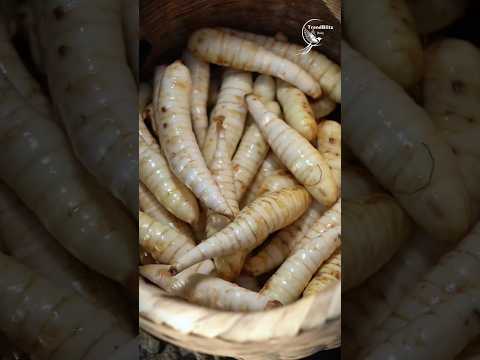 Rural Bamboo Slices: Traditional Farm Flavors, Clean Ingredients & Sustainable Living