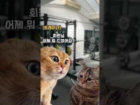 헬스장 트레이너 vs 회원님