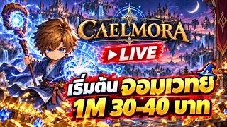 [LIVE] Caelmora อาชีพไหนฟาร์มเก่งๆ หนาาาาาาาา