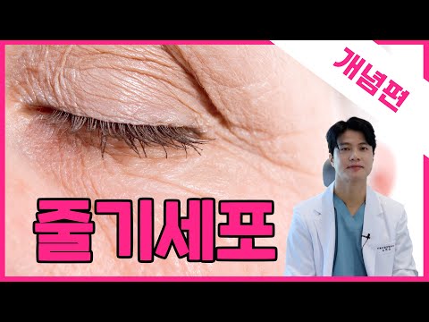 👍노화에는 줄기세포지!!!!👍