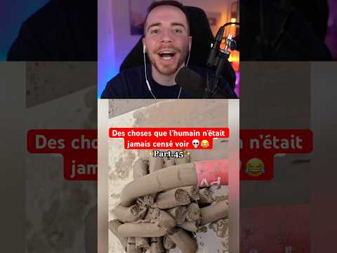 DES CHOSES QUE L’HUMAIN N’ÉTAIT JAMAIS CENSÉ VOIR 💀😂