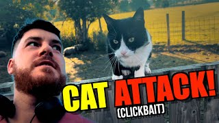 VLOG - Cat Attack!