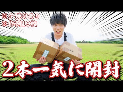解像力バグってるレンズが届いた(震え)。