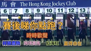 6月21日賽後睇你點跑 跨境寶馬 祥勝鷹駒 紅海旺 贏得自在 時時歡聲