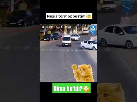 100MING GA OZGINA QOLDI OBUNA BOLING SEVGI#UZB #SHORTSTASMA#TRENDING FLOW#REK#SHORTSTASMA #QIZIQARLI