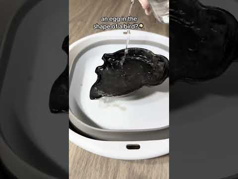 What would you use this frying pan for? #asmr #cleantok #recycle #goodwill