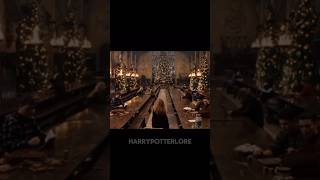 Christmas is coming 🎄🎄 #harrypotter #hogwarts #christmas