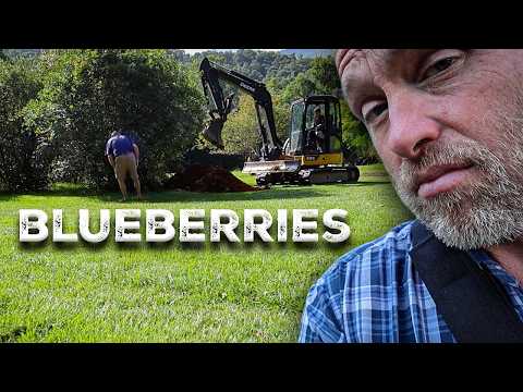 Injury Can’t Stop Me From this Blueberry Score