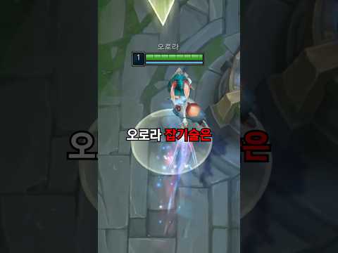 어이없어서 말도 안 나오는 오로라 잡기술 모음
