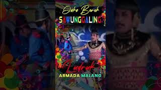 Unlocking LUDRUK ARMADA MALANG TERBARU in Just 30 Minutes a Day!