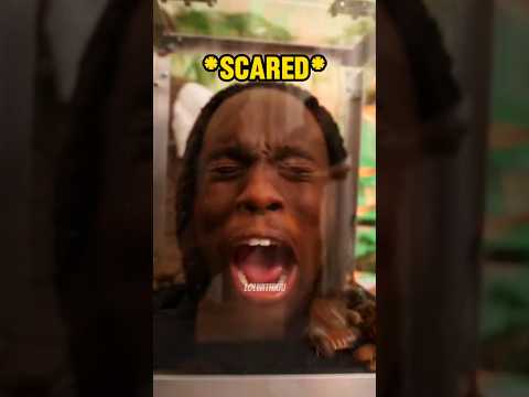 Kai Cenat vs roaches ๐