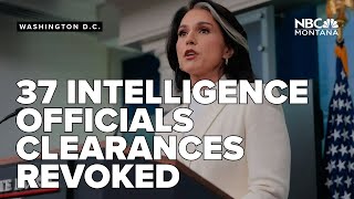 Weaponized intelligence concerns Gabbard revokes 37 security clearances