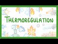 Thermoregulation and Body Temperature