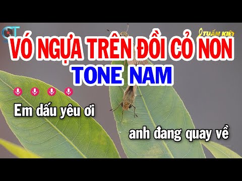 Karaoke Vó Ngựa Trên Đồi Cỏ Non Tone Nam ( Gm ) Nhạc Sống Mới || Karaoke Tuấn Kiệt