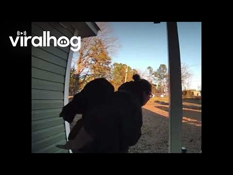 Cat Makes Bed On Delivery Driver's Back || ViralHog