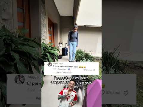 Volvió luego de año y medio y su perro la ignoró 🤣 #comedia #humor